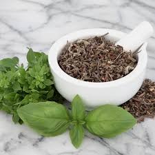 Tulsi